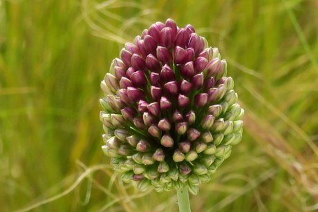 Tolle Farben und Formen Tolle Farben und Formen