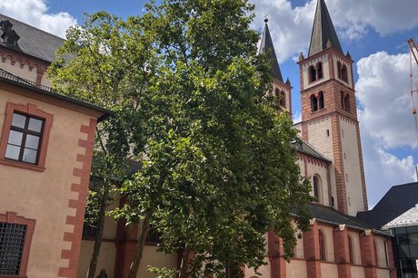 Wuerzburg35