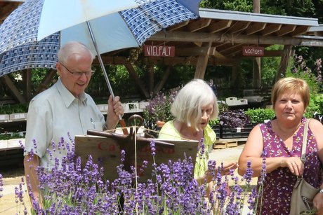 Ein schöner Duft Ein schöner Duft