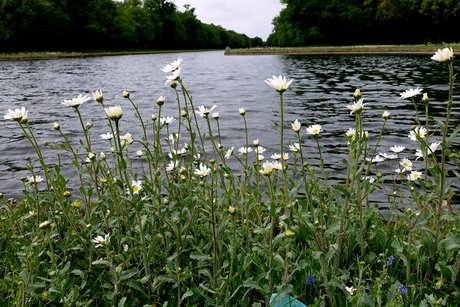 VdK Waldkraiburg