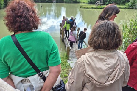 Karpfenf&uuml;tterung am Fischlehr-Teich