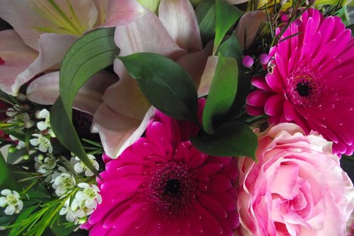 rosa und lila Blumen