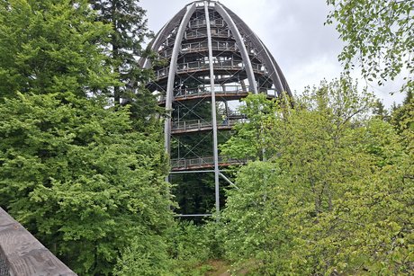 Tagesausflug