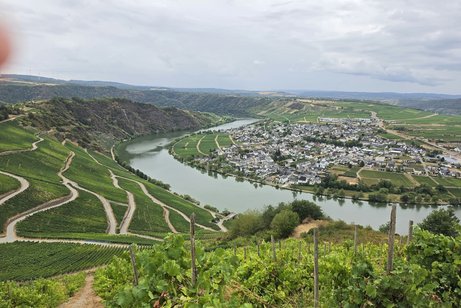 Ausblick auf die Mosel