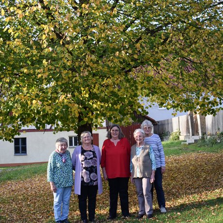 Mitglieder im Vorstand