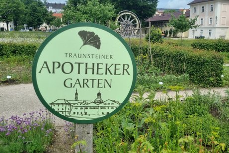 Auf dem Bild sieht man den Apothekergarten vor den Salinengebäuden in Traunstein. Im Vordergrund ein rundes grünes Schild mit der Aufschrift "Traunsteiner Apothekergarten"