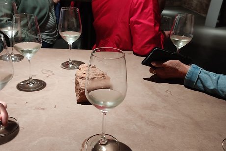 Eindrücke von der Fahrt nach Würzburg mit Führung durch einen Weinkeller