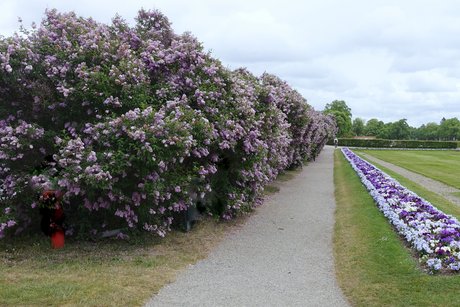 Schlosspark