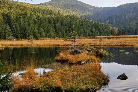 Kleiner Arbersee Kleiner Arbersee