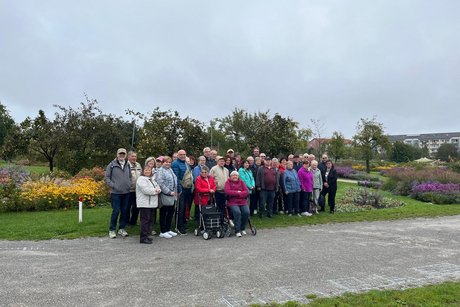 OV Deiningen, Alerheim, Fessenheim