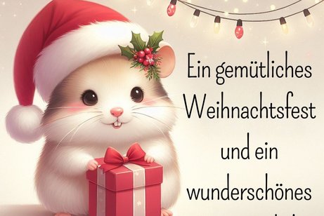 Weihnachtsgr&uuml;&szlig;e