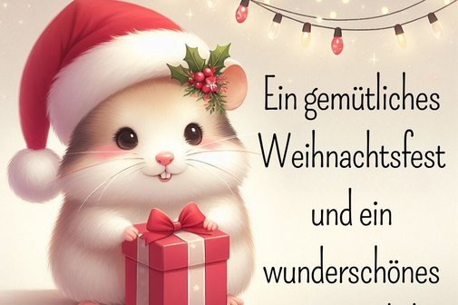 Weihnachtsgrüße