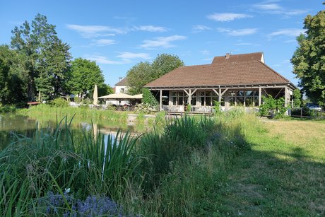 Hammerwirt Biergarten und Weiher (mit Enten)