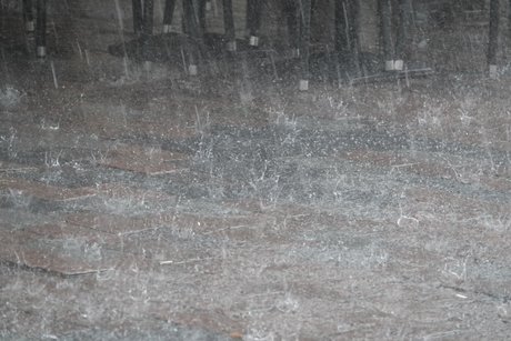 Fahrt nach Berlin Fahrt nach Berlin