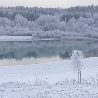 Langweid See im Winter. Silbern liegt der See in einem Bett aus Schnee.