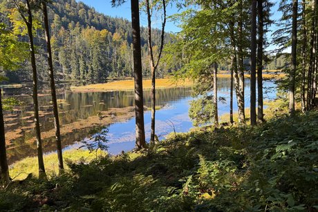 Der Rundgang um den See ist absolut empfehlenswert