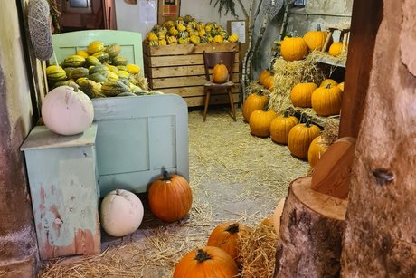 Zimmer im kleinen Kürbishaus In einem weiteren kleinen Zimmer des alten Kürbishauses steht ein blaues altes Bett, Regale und eine Komode mit vielen verschiedenen Kürbis, sowohl auch auf dem Boden.