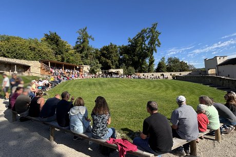 Flugvorf&uuml;hrung Greifv&ouml;gel