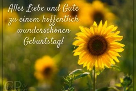 Geburtstagsgr&uuml;&szlig;e f&uuml;r den September 2026, im Bild Sonnenblumen.