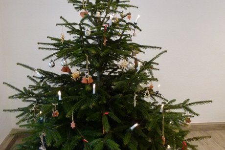 Weihnachtsbaum