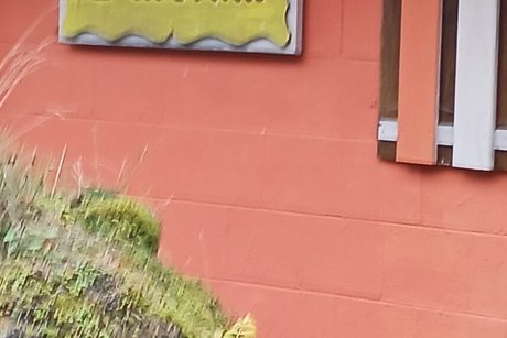 Man sieht den Eingang zum Wurzelmuseum