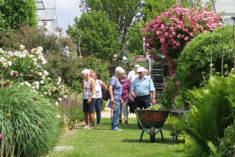 Viele schöne Wege Viele schöne Wege