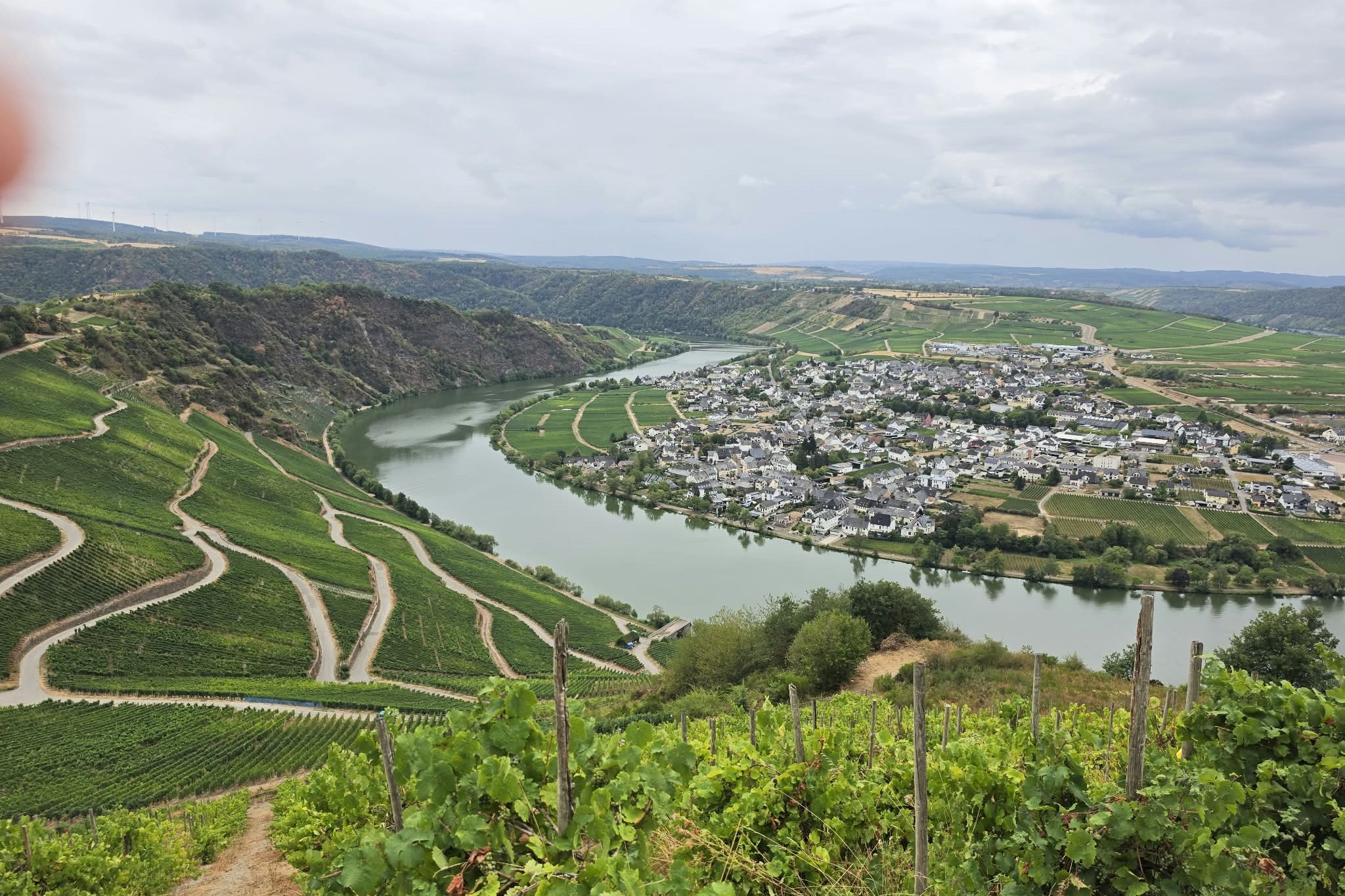 Ausblick auf die Mosel