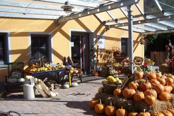 Kürbishof Schnell Vor der gelben Hausfront vom Kürbishofladen Schnell in Kammerstein werden auf Tischen oder Boden verschiedene Kürbisse ausgestellt.