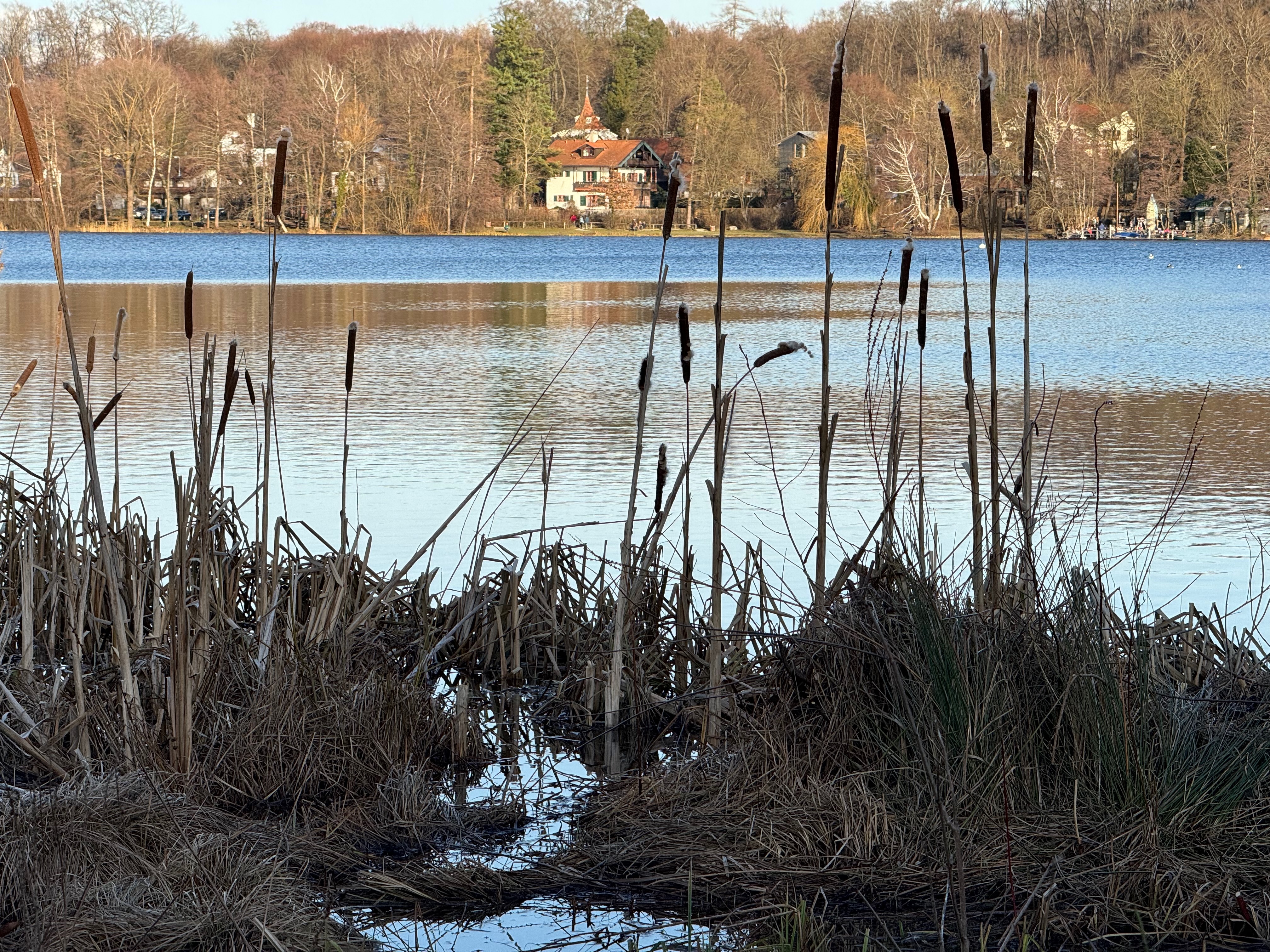 Weßlinger See