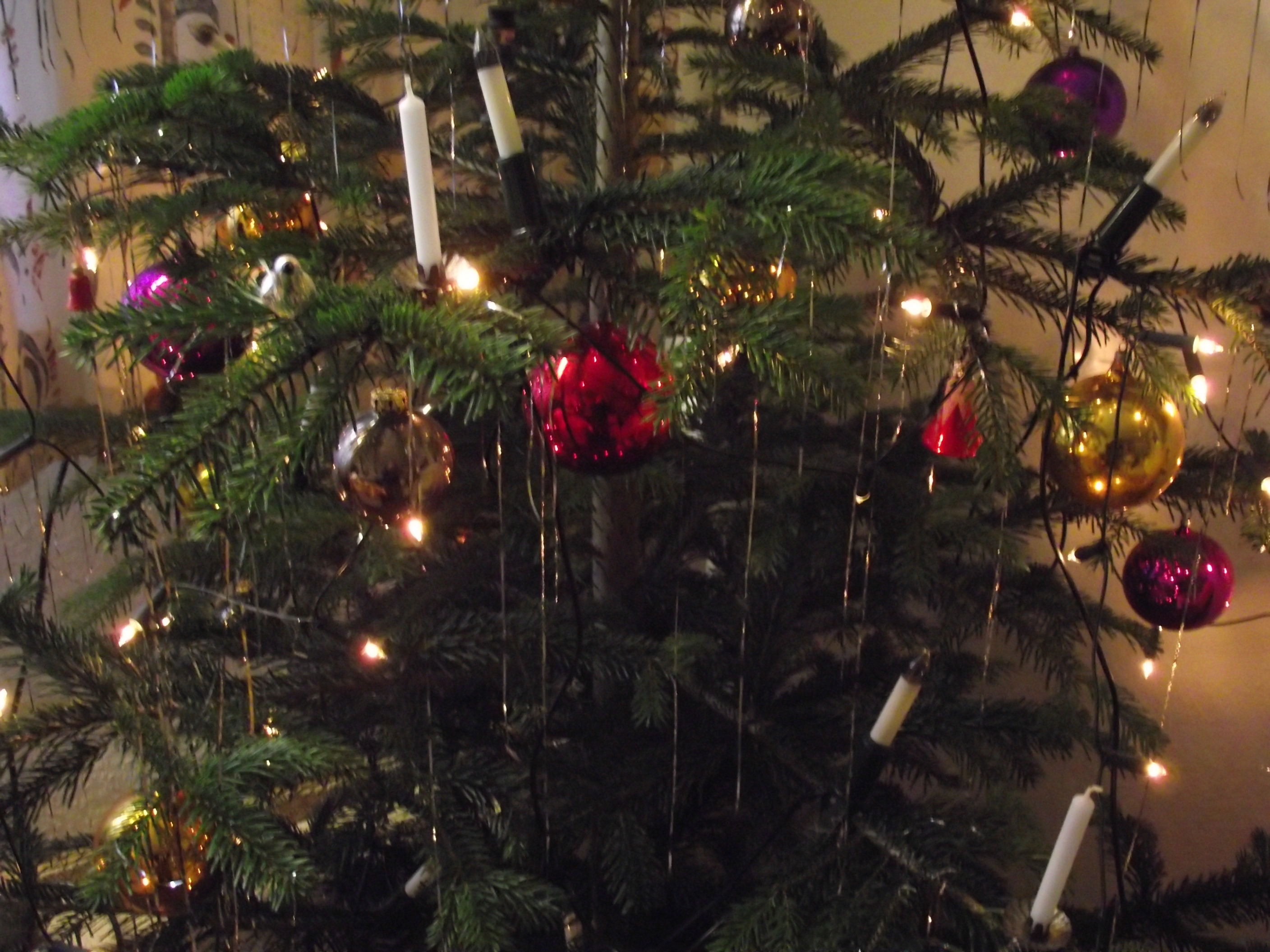 Tanne mit Christbaumkerzen und Kugeln geschmückt