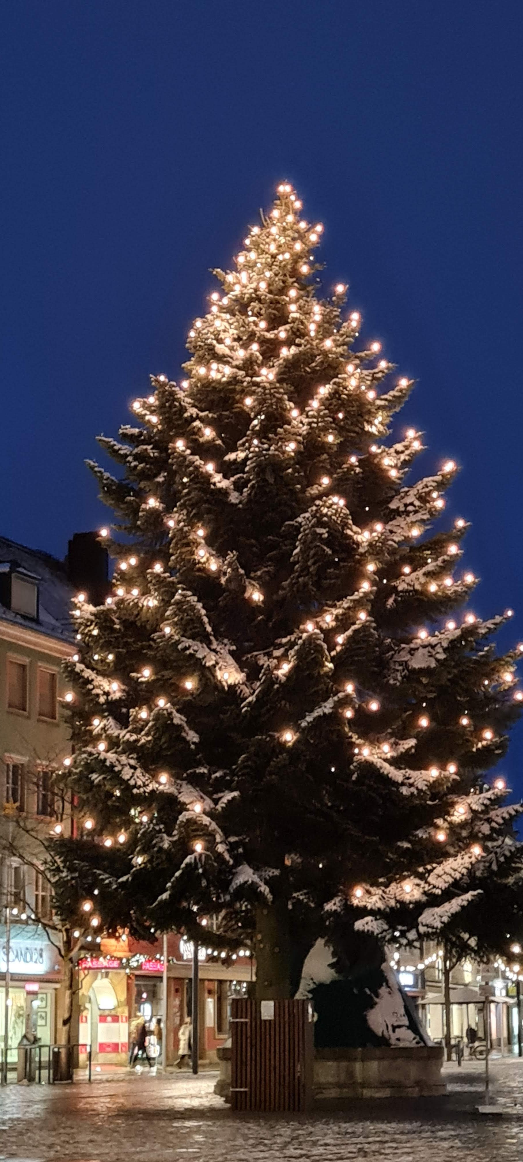 Mit brennender Lichterkette geschmückter Weihnachtsbaum, bei Nacht fotografiert.