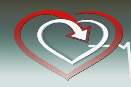 Vortrag Frauenherzen