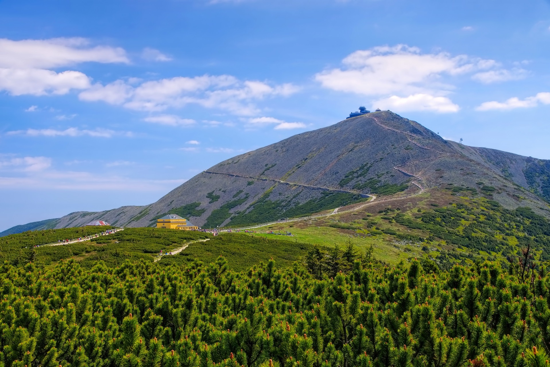 großer Berg, grüne Wälder, tolle Aussicht