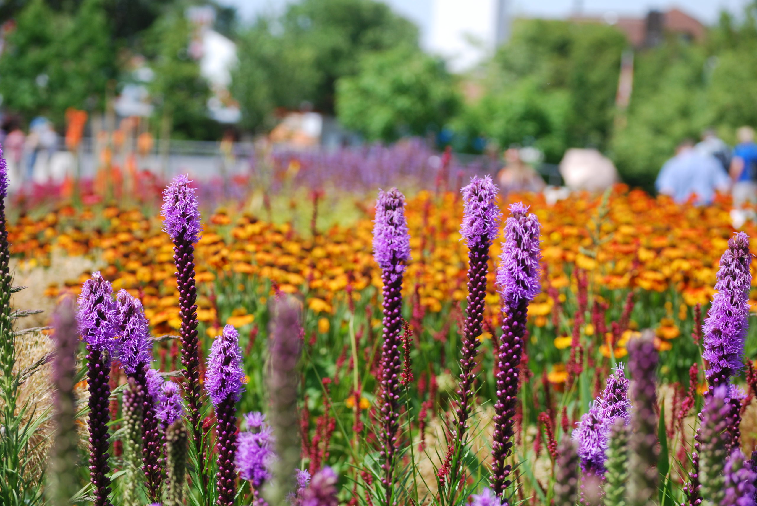 Landesgartenschau Kirchheim