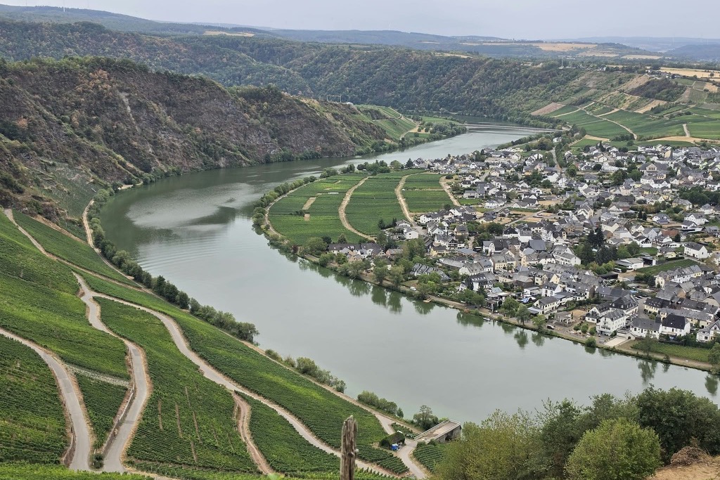 Ausblick auf die Mosel
