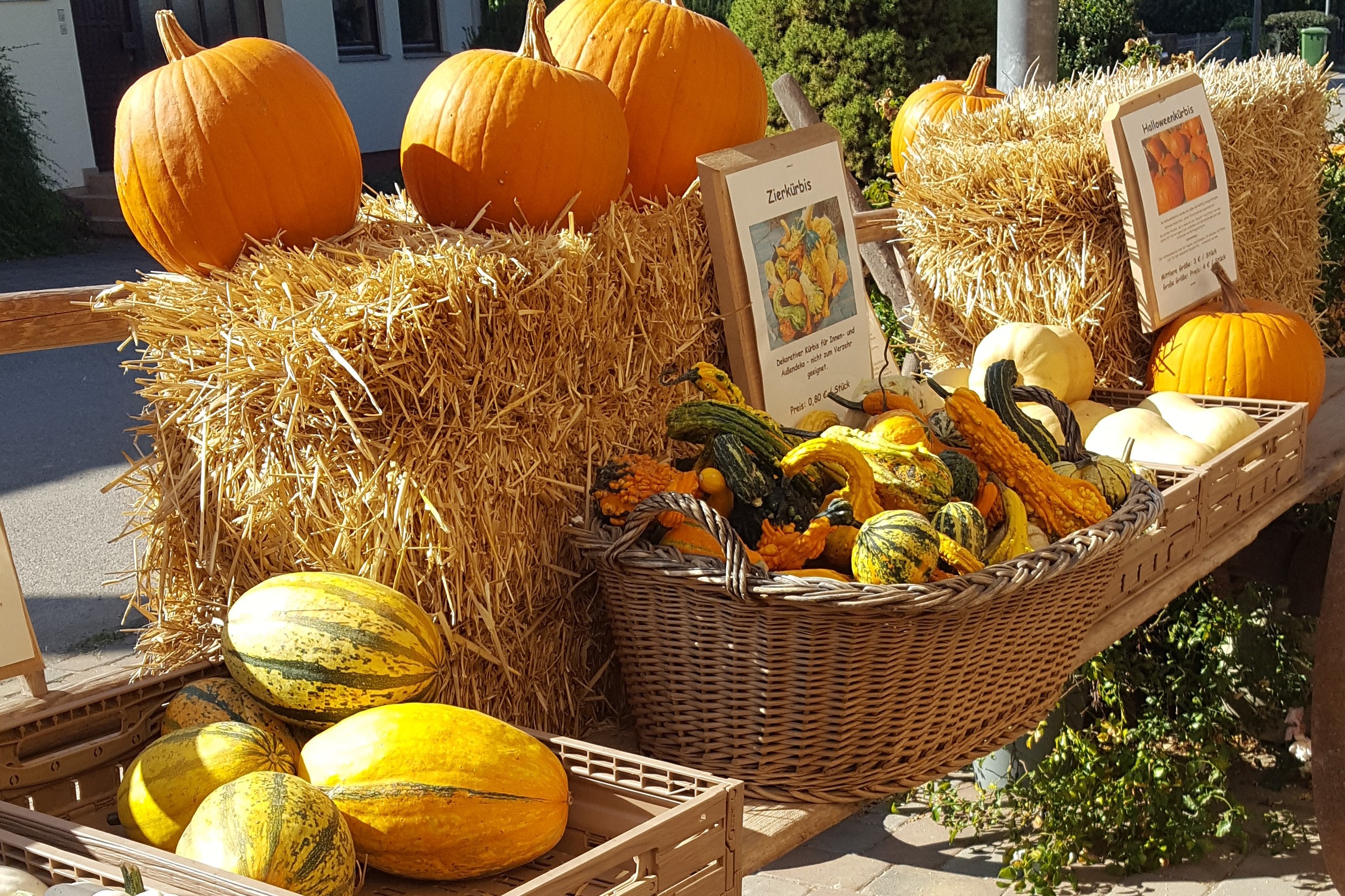 Wagen voller K&uuml;rbise