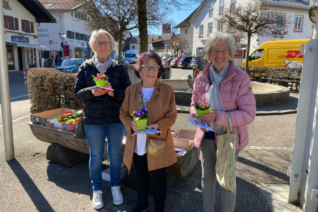 Blumengeschenke am Frauentag Primeln