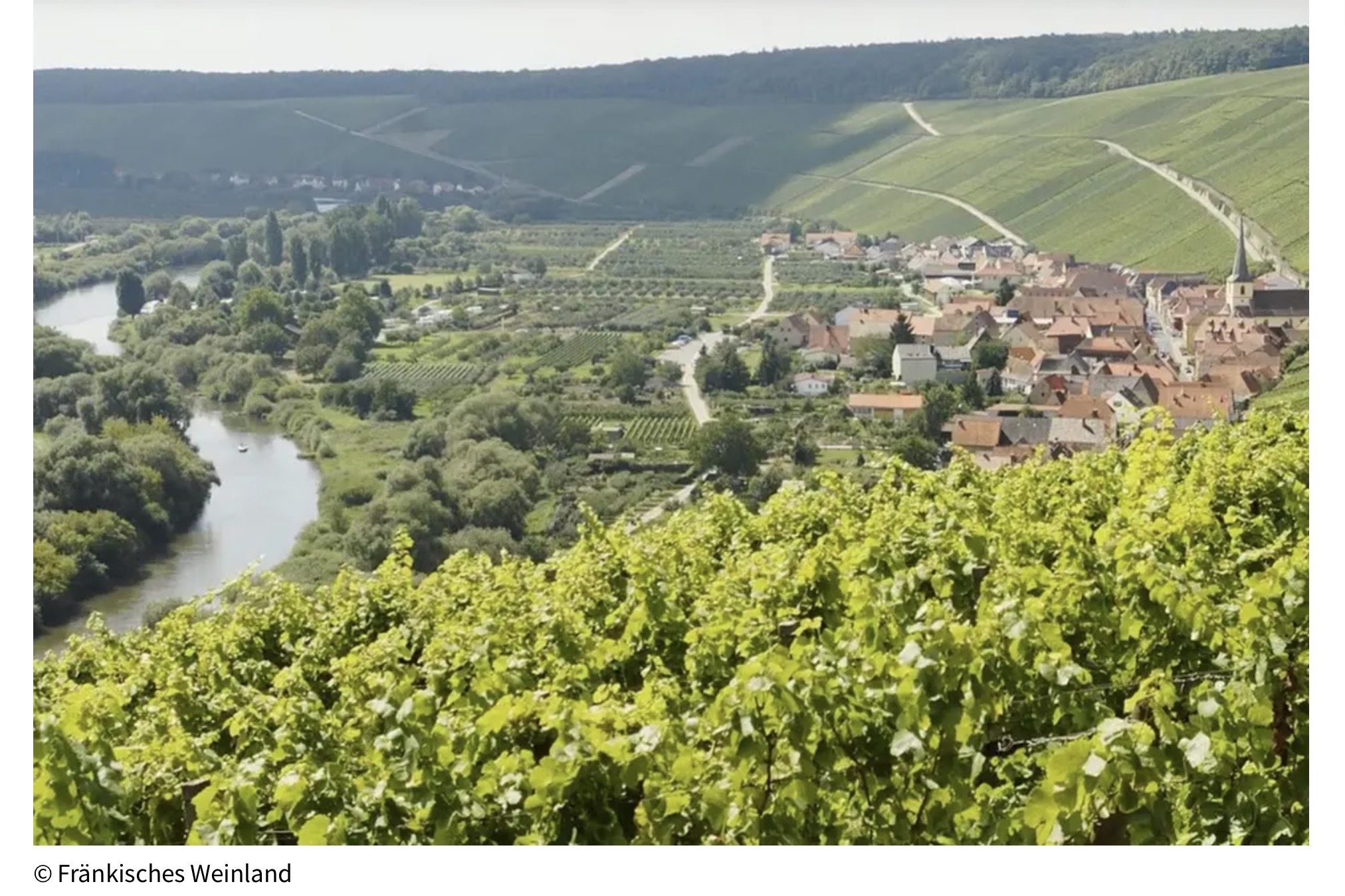 Weinfranken