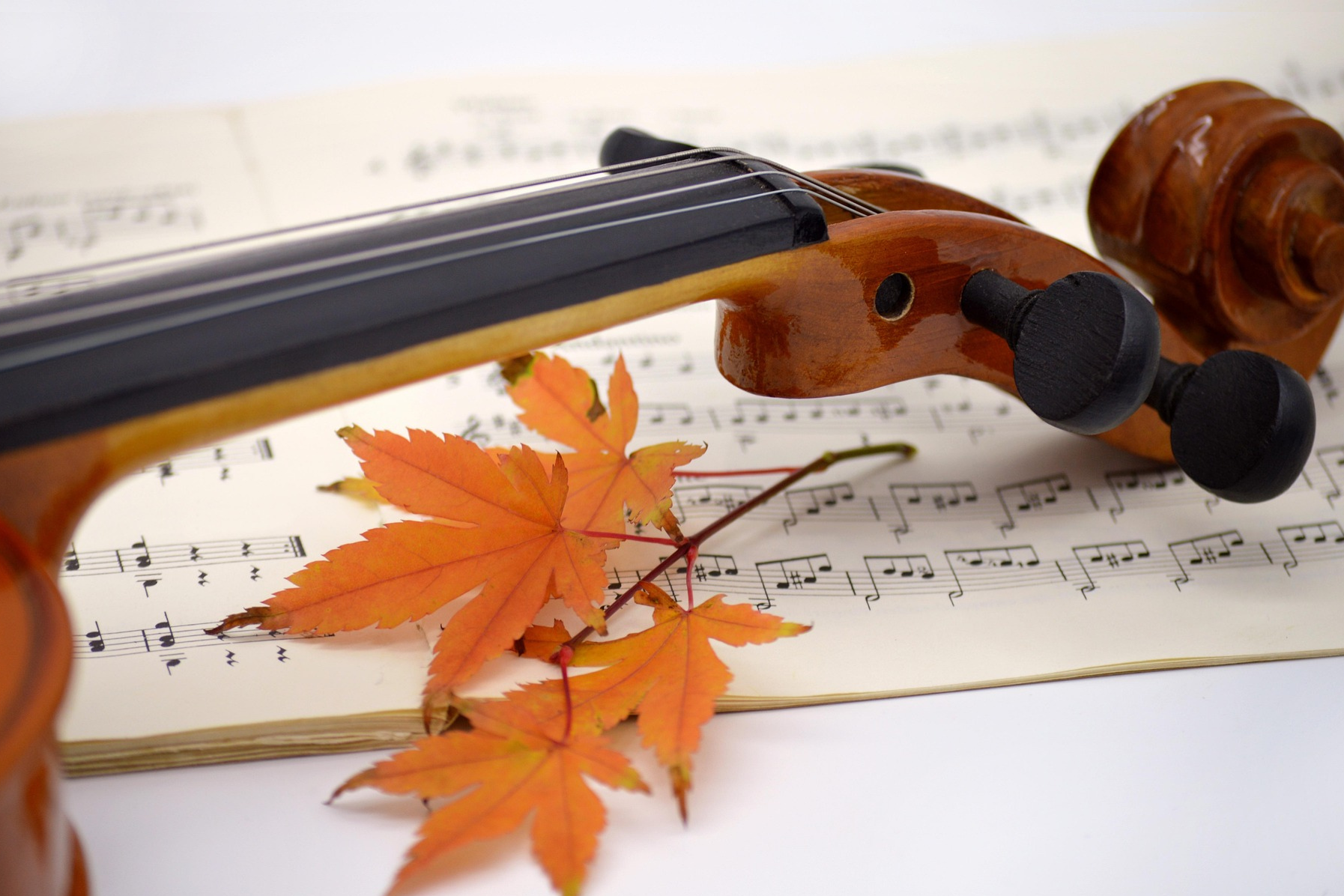 Notenblatt mit Geige
