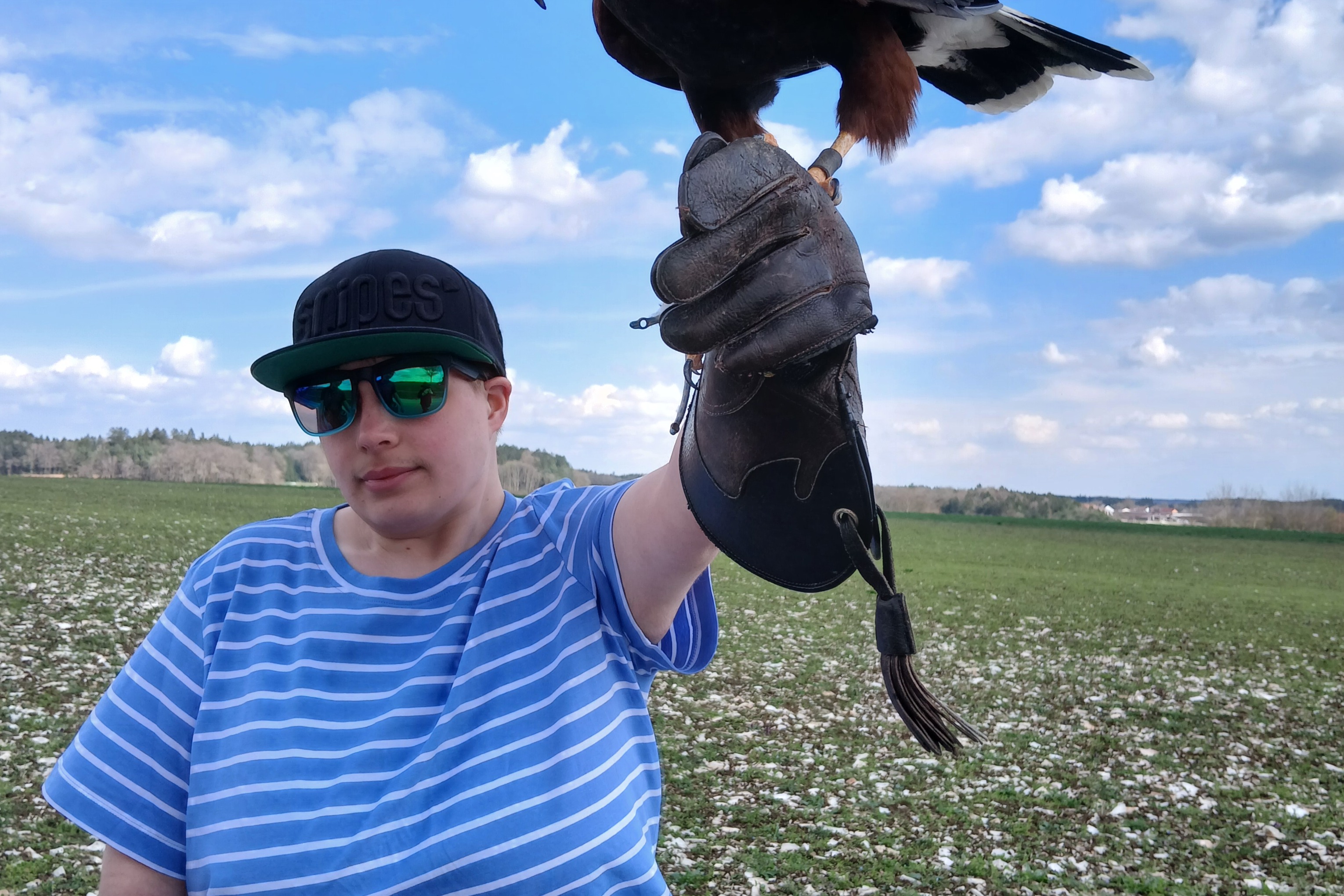 Falknerei "Vogelwild“ in Aichkirchen/Helmau Eine Besucherin mit einem Greifvogel auf der linken Hand haltend.