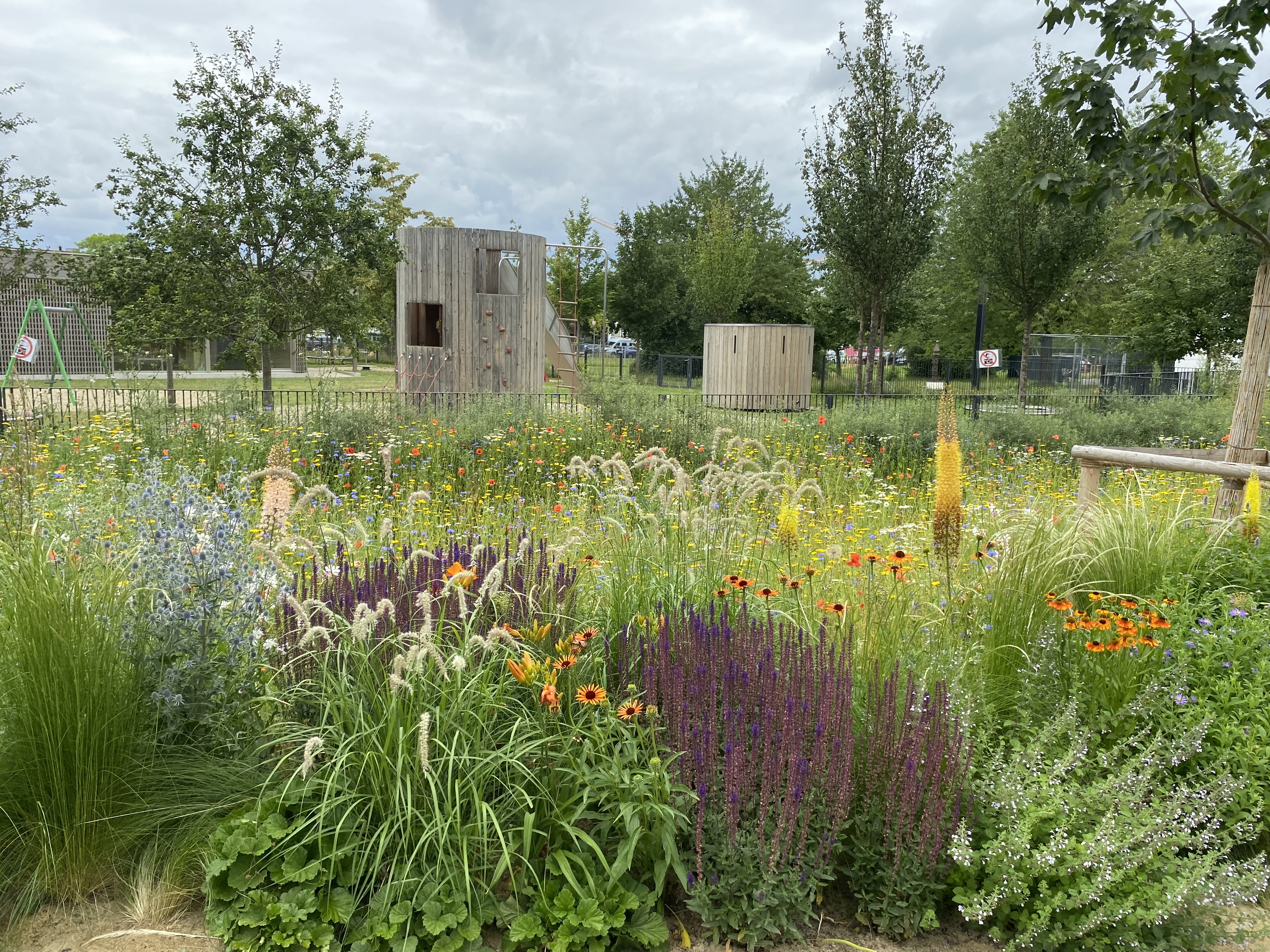 Blühendes Feld auf des Landesgartenschau