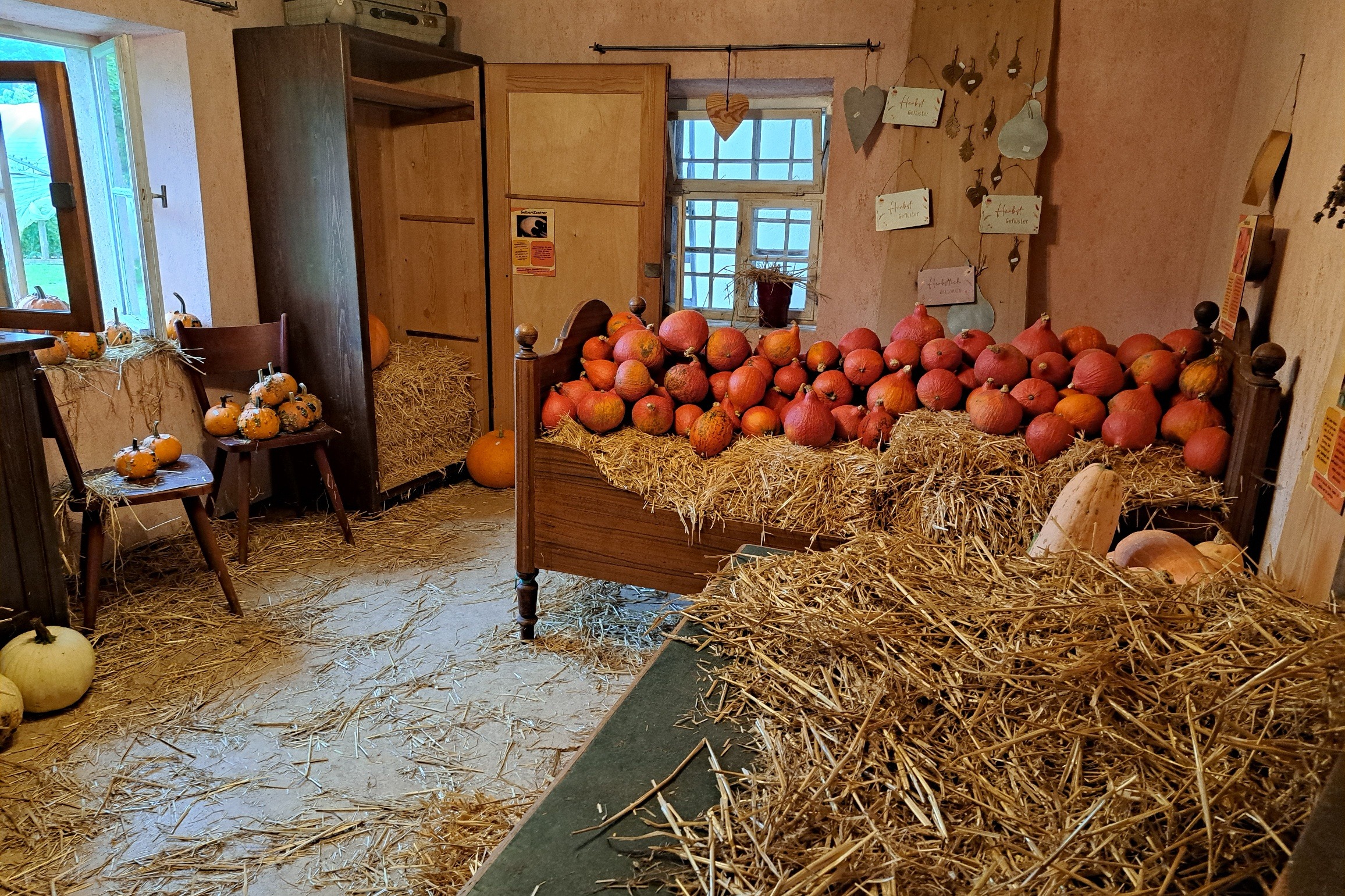 reichliche Ernte Kürbishaus in Kammerstein